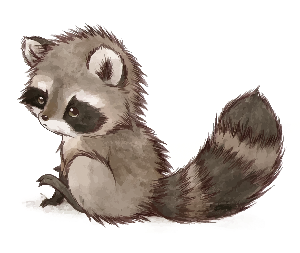 a cute baby raccoon 
